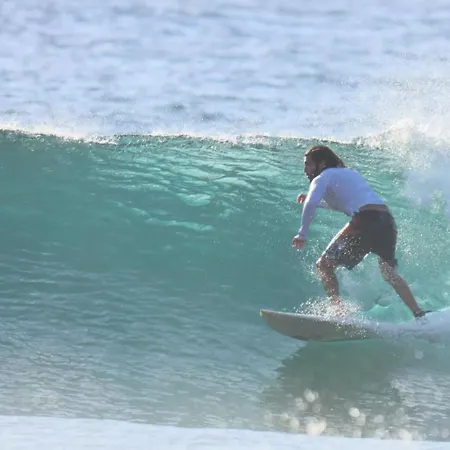 Auberge de jeunesse Single Fin Surf *