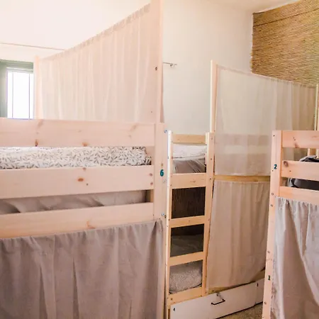 Single Fin Surf Auberge de jeunesse Arona (Tenerife)