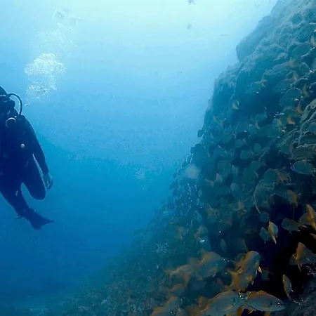Single Fin Surf Auberge de jeunesse