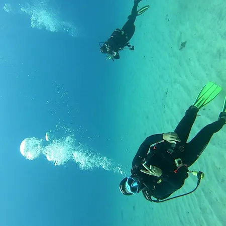 Auberge de jeunesse Single Fin Surf Arona (Tenerife)