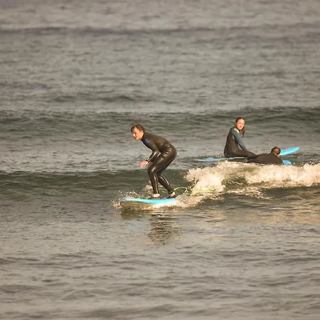 Single Fin Surf Auberge de jeunesse Arona (Tenerife)