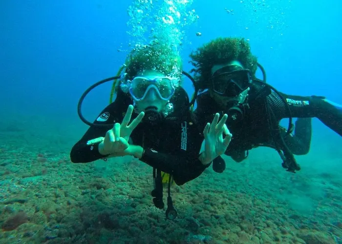 Single Fin Surf Hostal