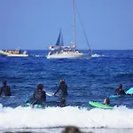 Single Fin Surf 호스텔