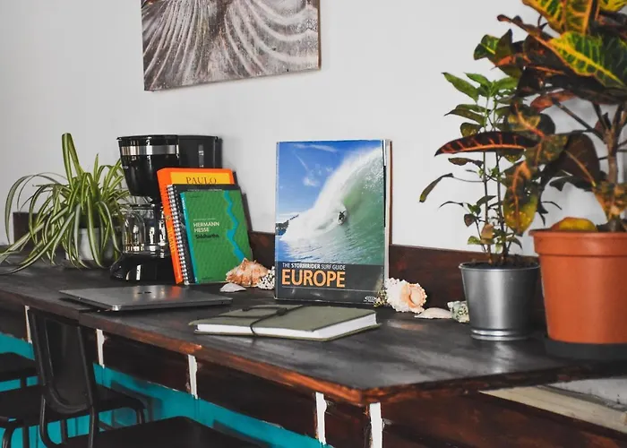 Albergue Single Fin Surf *