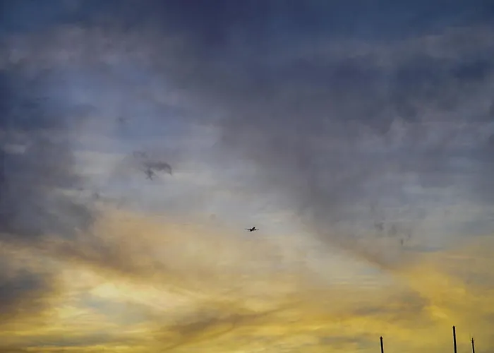 Auberge de jeunesse Single Fin Surf