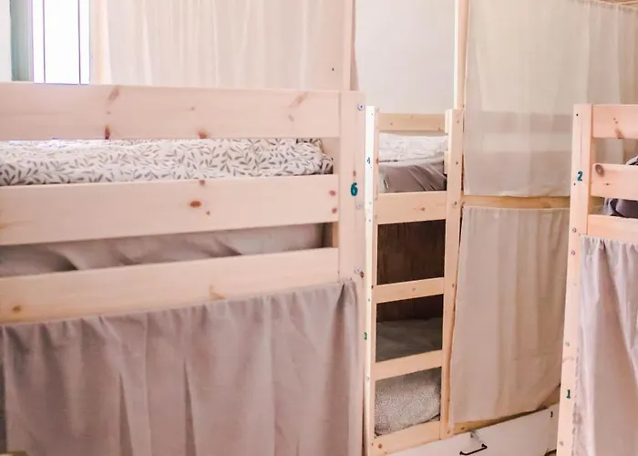 Auberge de jeunesse Single Fin Surf