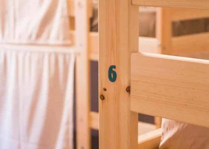 Single Fin Surf Auberge de jeunesse *