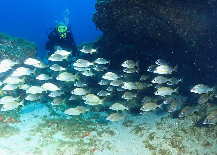 Single Fin Surf Auberge de jeunesse *