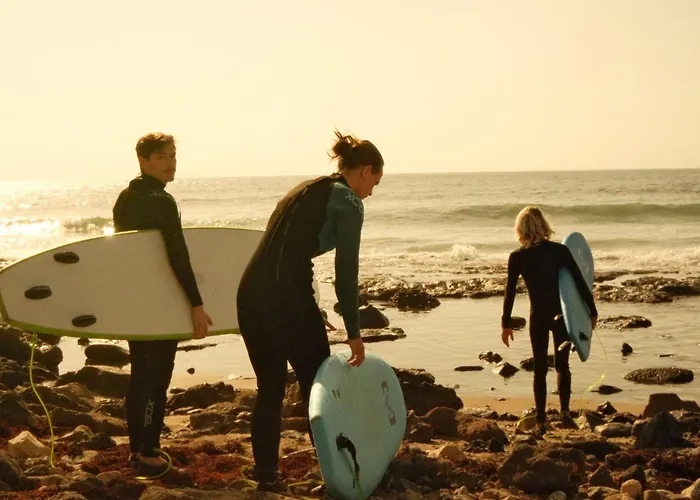 Auberge de jeunesse Single Fin Surf *