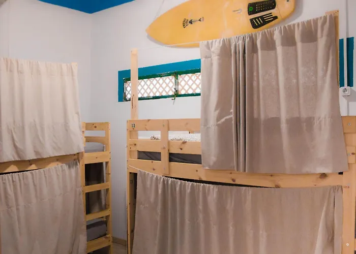 Single Fin Surf Auberge de jeunesse *