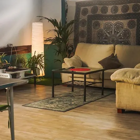 Single Fin Hostel