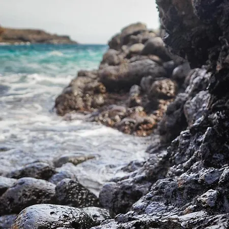 Single Fin Arona (Tenerife)