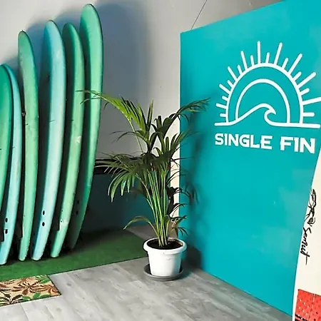 Single Fin Surf