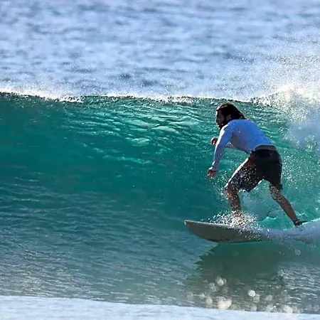 بيت شباب Single Fin Surf