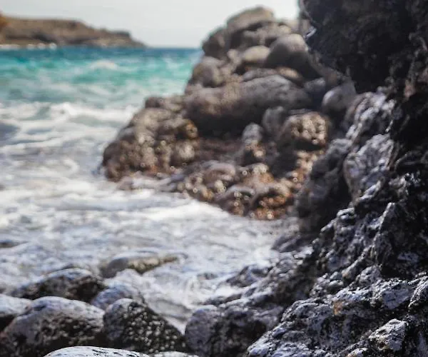 Single Fin Surf ארונה