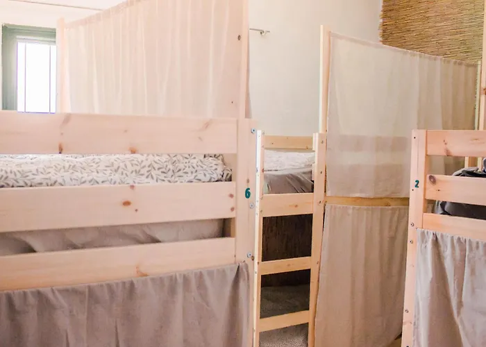 Single Fin Surf Hostel Arona (Tenerife)