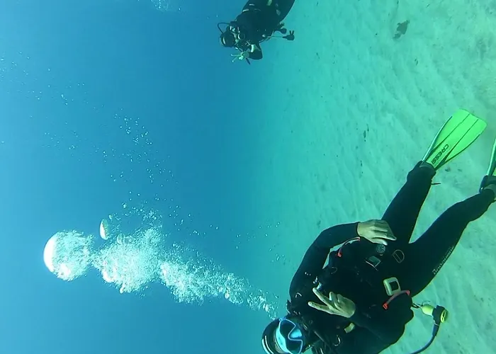 호스텔 Single Fin Surf 아로나