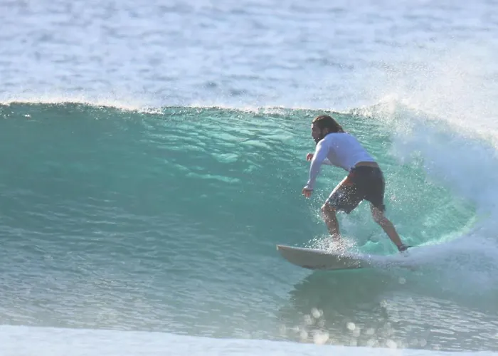 Hostel Single Fin Surf *