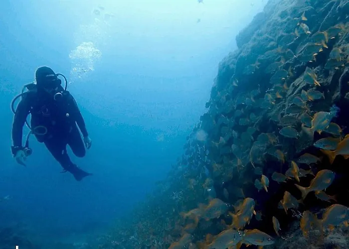 Single Fin Surf Hostel